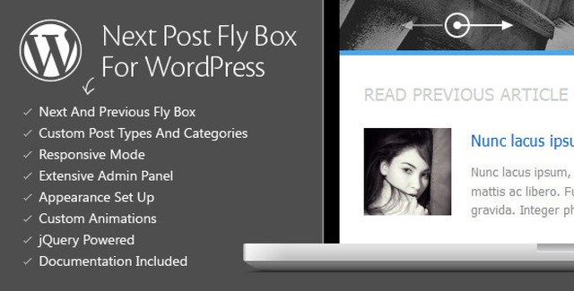 Next Post Fly Box WordPress plugin floating navigation preview showing next and previous post links