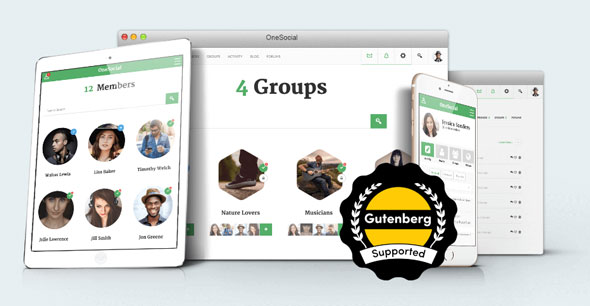 OneSocial responsive BuddyPress WordPress theme for community websites