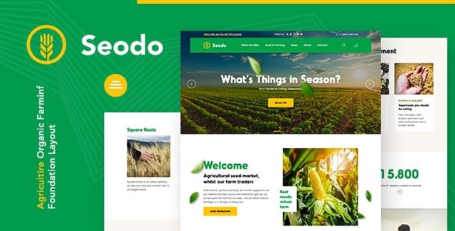Seodo organic farming WordPress theme demo preview showing agricultural website layout