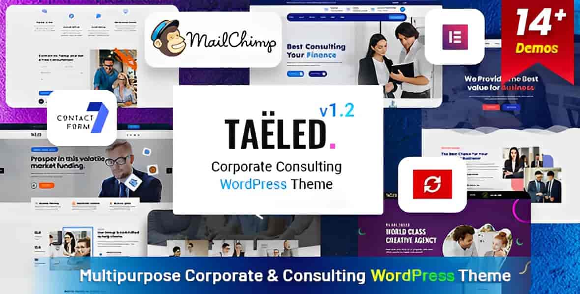 TAELED business consulting WordPress theme preview with modern professional layout