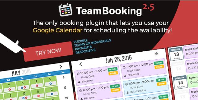 Team Booking WordPress plugin interface showing Google Calendar integration for appointment scheduling