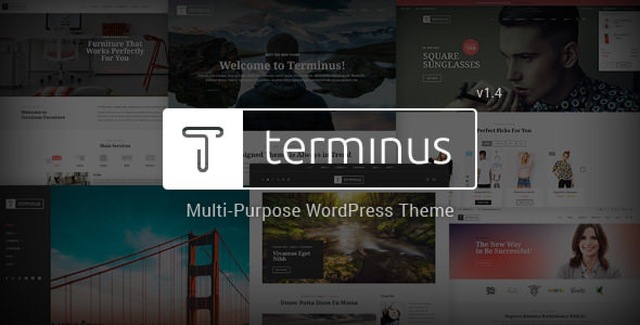 Terminus responsive multi-purpose WordPress theme preview