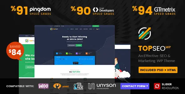 TopSEO WordPress theme preview for SEO and digital marketing agencies