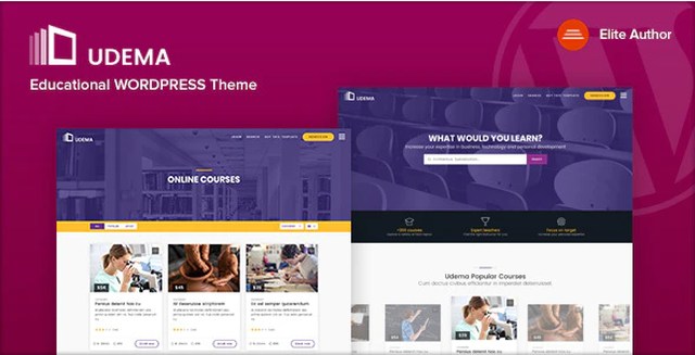 Udema modern LMS WordPress theme dashboard