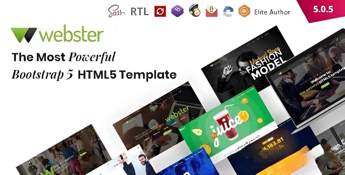 Webster responsive multipurpose HTML5 template preview showcasing multiple homepage layouts and design variations