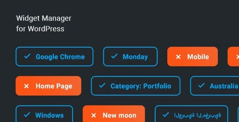 Widget Manager WordPress plugin interface showing conditional widget display settings