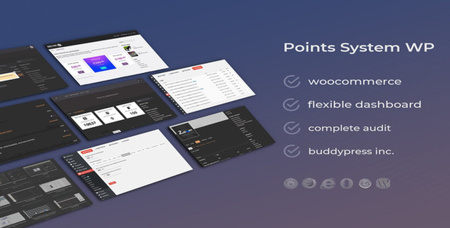 WooCommerce Easy Point System Plugin dashboard interface