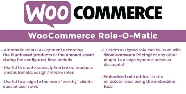 WooCommerce Role-O-Matic plugin interface for dynamic customer role assignment
