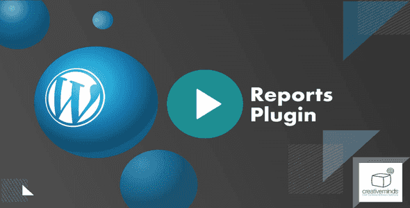 WordPress Reports Plugin dashboard showing 20+ usage reports and statistical charts
