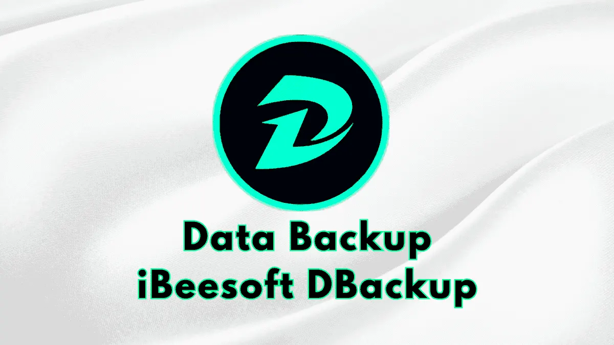 IBeesoft DBackup Pro drive backup and cloning software interface on Windows