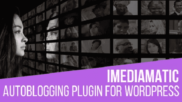 Instamatic Instagram importer plugin interface showing WordPress integration